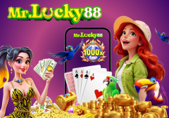 Best Low Volatility Slot Games for Small Budget Players